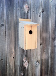 Bluebird House