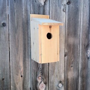 Bluebird House