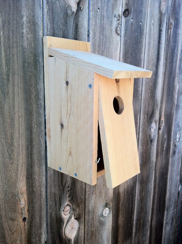 Bluebird House - Front Open