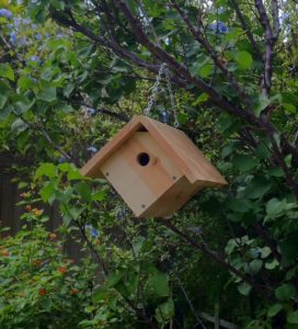 Wren Birdhouse