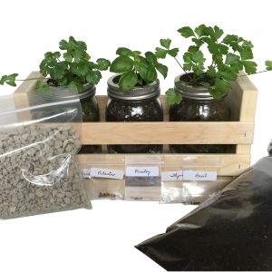 Window-sill-herb-garden-kit