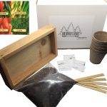 Salsa Growing Kit