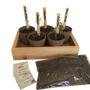 Salsa garden Kit