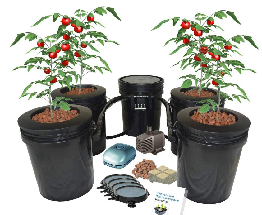 Deep Water Culture Hydroponic Bucket Kit 5 Gallon