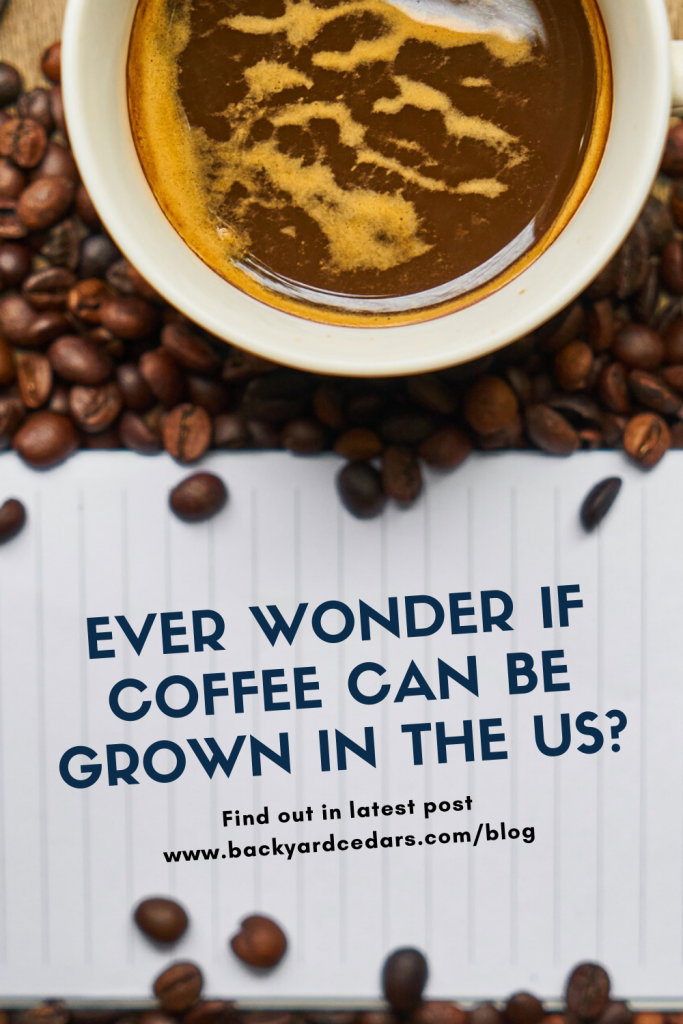 Pinterest- Wonder if Coffee Can Be Grown in the US