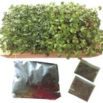 Microgreen Growing Kit