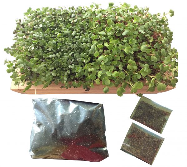 Microgreen Growing Kit