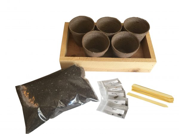 Herb Garden Growing kit 3