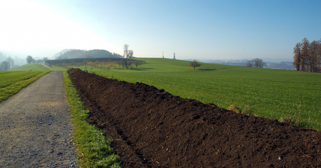 How to Compost for Beginners