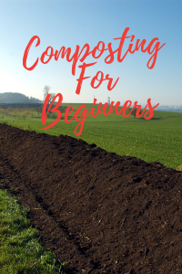 How to Compost for Beginners