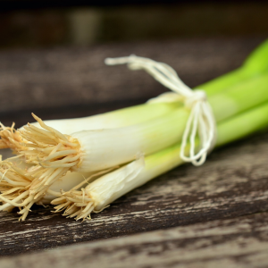 Regrow Onions