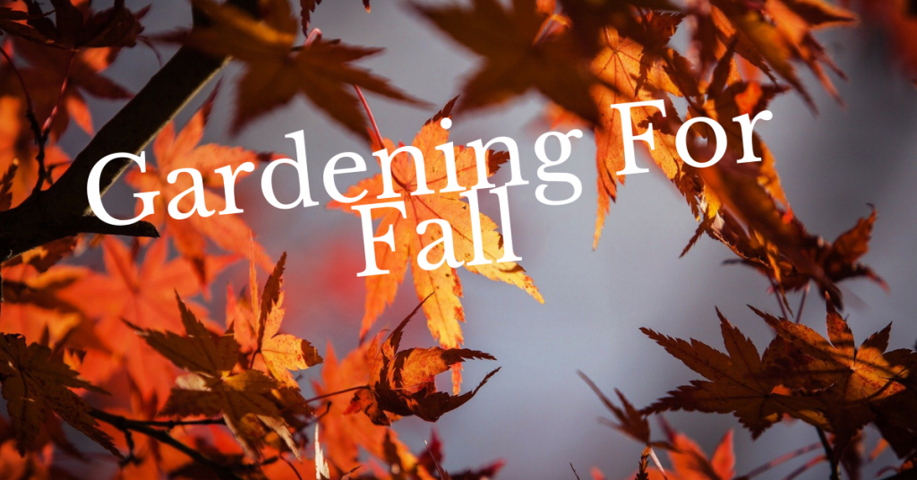 Gardening For Fall