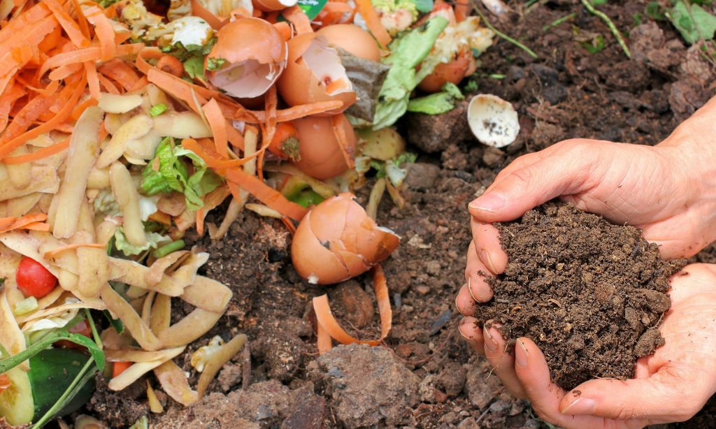 can compost be used for soil